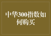 中华300指数投资策略探秘